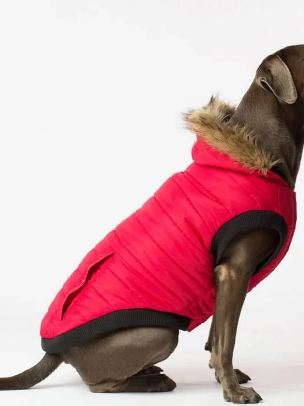 Canada Pooch Parka Jacket For Dogs